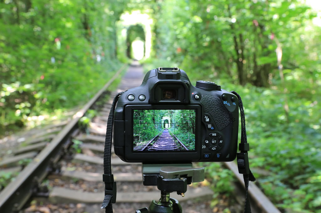 DSLR & Mirrorless Cameras